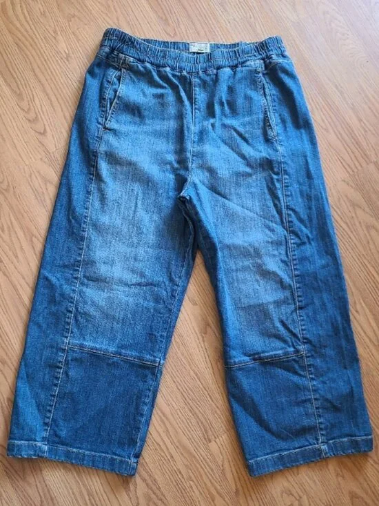 PILCRO ANTHRO IZZIE RELAXED PULL ON BARREL JEANS ELASTIC WAIST CROP DENIM sz L - Picture 3 of 8